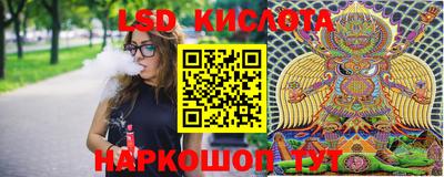 мяу мяу мука Ставрополь