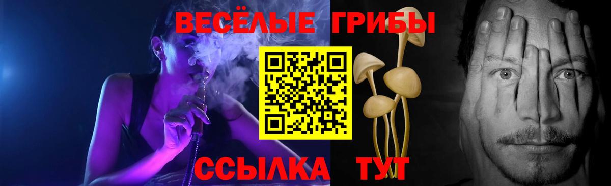 Галлюциногенные грибы мицелий Белгород