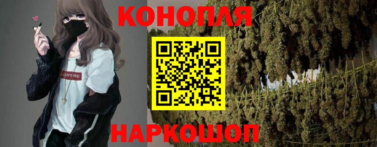 Бошки Шишки план Белгород
